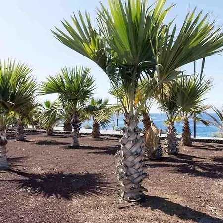Appartamento Alcalá Center Tenerife Canarias Guía de Isora